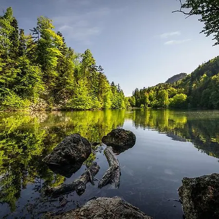 Kaiserblick Апартаменты *